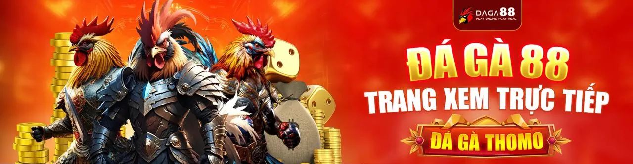 mm9 win Đá Gà Trực Tuyến